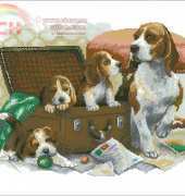 Riolis 1328 Canine Family