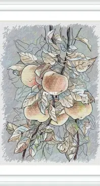 Apples by Anna Ulchitskaya