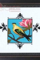 Mirabilia - NC 187 - Yellow Figbird Audubon Street