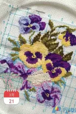 Riolis 266 Pansy
