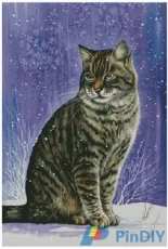 HAED HAEIAG 1247 Winter Tabby by Irina Garmashova