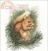Heritage Stitchcraft JSRS295 Red Squirrel by John Stubbs