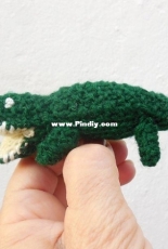 Wild Crocodile