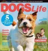 Dogs Life-March-April-2015
