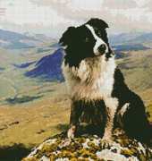 Artecy Cross Stitch - Border Collie in the hill