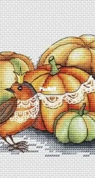 Bird with Pumpkins by Svetlana Sichkar XSD