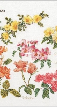 Thea Gouverneur TG 3066 Rosaceae XSD
