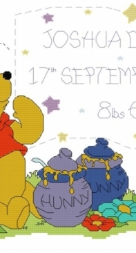 Designer Stitches D167 Pooh's Hunnypot Birthsampler - PCS10