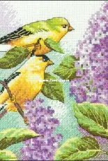 Dimensions 65153 - Goldfinch and Lilacs XSD