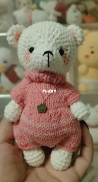 Sweater bear