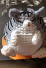 a fat cat