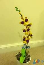 Lisahandmade- Lisa Lisa- Oncidium Orchid