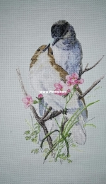 Ekaterina Kutyina - Feathered love
