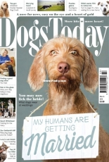 Dogs Today - March 2018