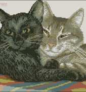 RTO M105 Feline Tenderness XSD