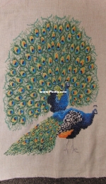 Finished peacock