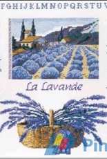 Marie Coeur-Margot 4168 - Paysage de lavande PCS
