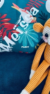 Pica Pau - A monkey