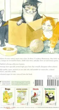 To Paint or Color  The world of Cats  John Green  Coloring Book