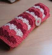 Crochet hook case