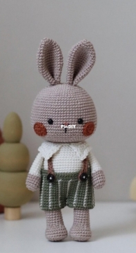 Hainchan Design - Hanh Tran - Rene The Little Bunny
