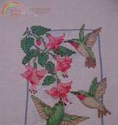 Hummingbirds & Flowers