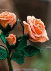 Happy Patty Crochet - Spray Rose