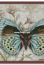 Chimera - Butterfly Vintage 13 by Jane Shasky