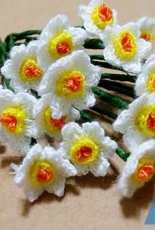 Narcissus