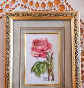 Anchor RHS Rose