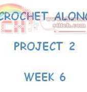 CROCHET ALONG - PROJECT 2 - WEEK 6