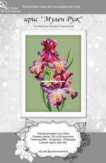 Iris Moulin Rouge by Anna Kuznetsova XSD