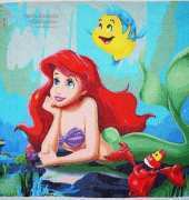 Ariel & friends