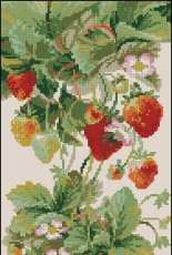 Riolis 1551 - Strawberry