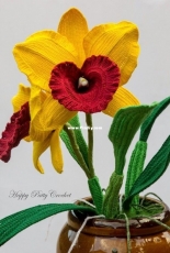 Happy Patty Crochet - Cattleya Orchid