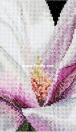 Thea Gouverneur - TG 0495 - Magnolia PCS