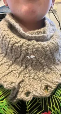Aviat Cowlette