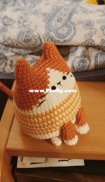 [Finished] Ginger Cat
