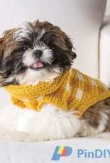 Knit and Crochet Now 404NC - Shiri Mor - Graham Style Crochet Dog Sweater - Free
