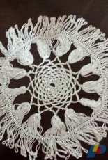 Silvery Lace