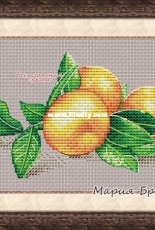 Tangerines by Maria Brovko