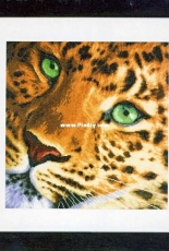 Lanarte PN-0155213 (PN-0154944) Leopard XSD