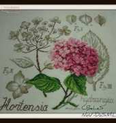 Brodeuses Parisiennes (HORTENSIA)