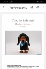 Little Bichons - Marlene Hurtrait - Toby the dachshund