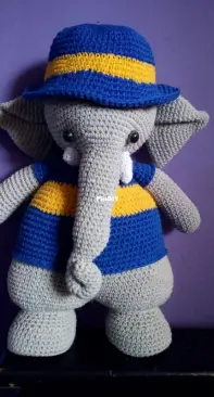 Football fan elephant