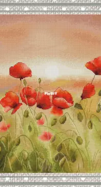 Poppy Field by Anastasia Eremina