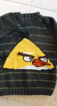 Angry bird sweater