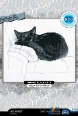 RTO M668 Among Black Cats