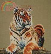 DMC K4921 Tiger / Le tigre
