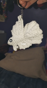 Betta fish